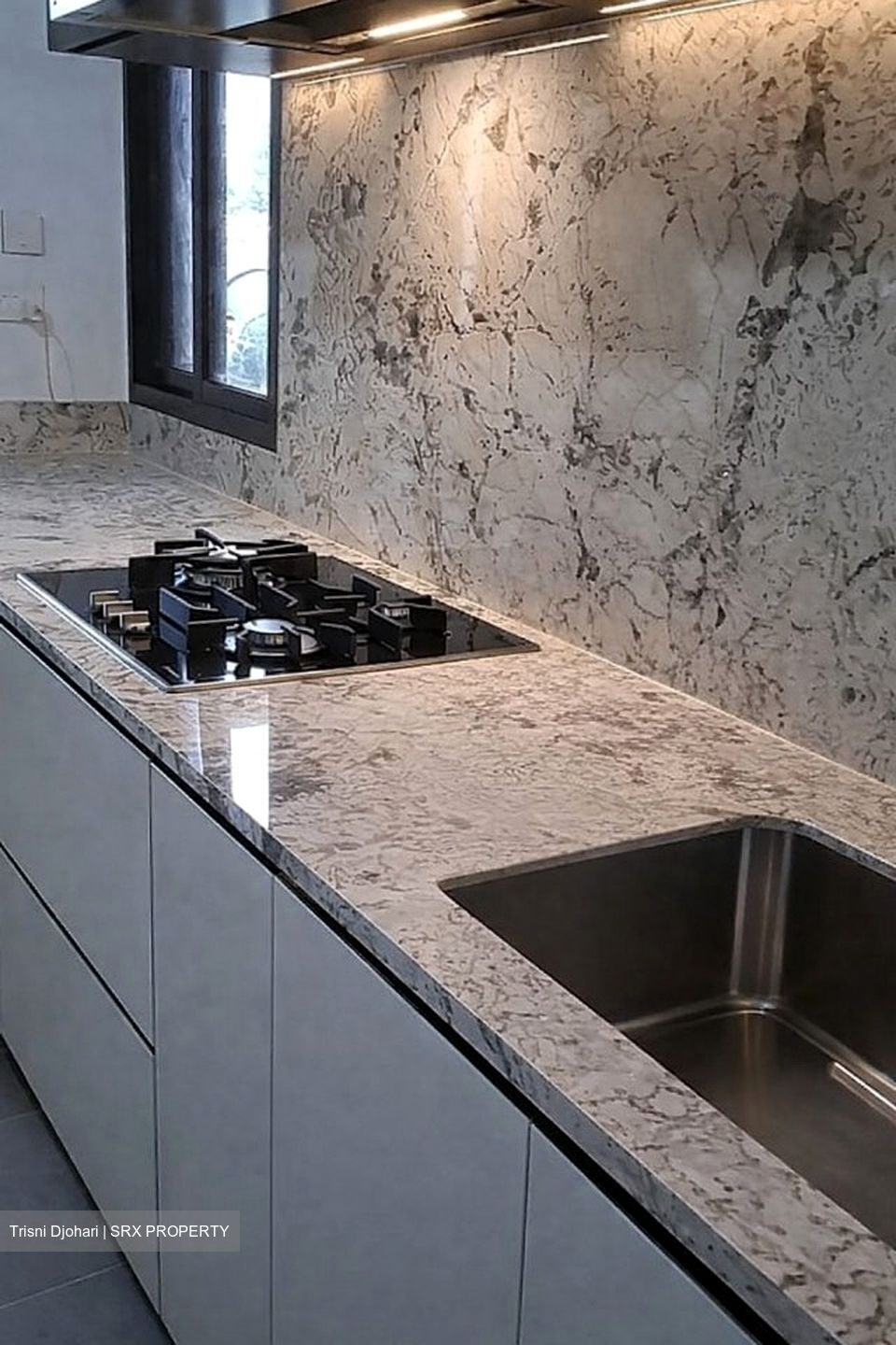 Tembusu Grand (D15), Condominium #520070401